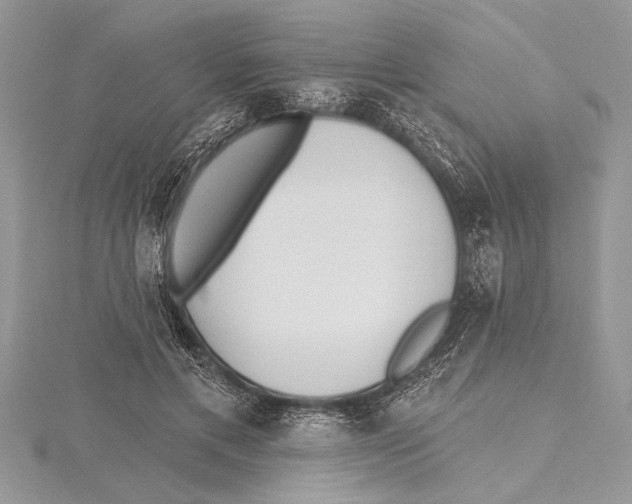 X0000115430597200912020926