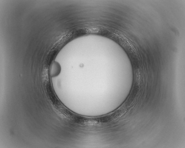 X0000115430598200912020926