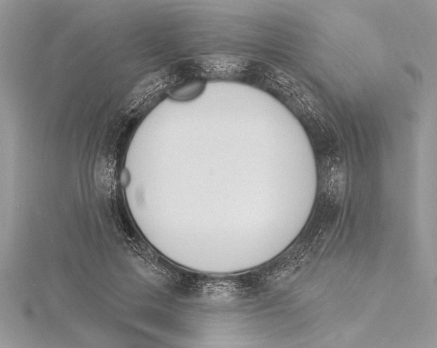 X0000115430599200912020926