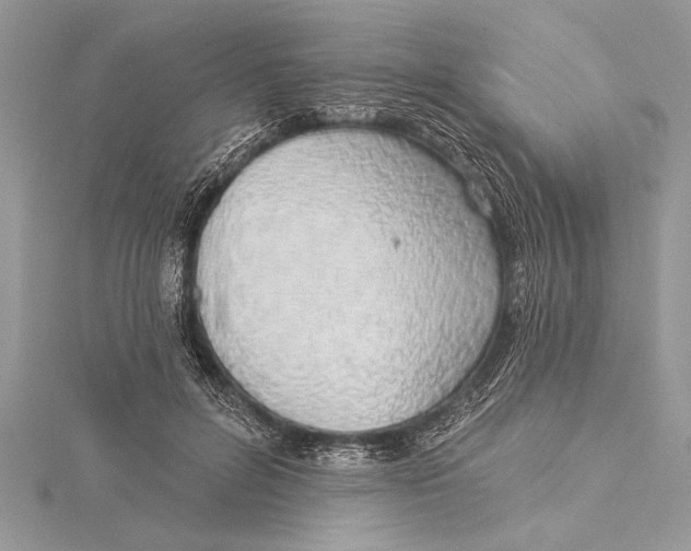 X0000115430600200912020926