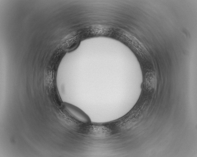 X0000115430605200912020925