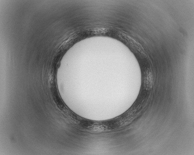 X0000115430608200912020925