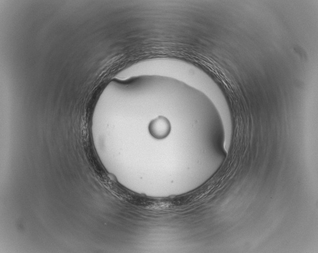 X0000115430609200912020925