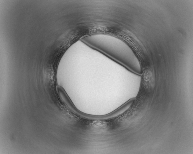 X0000115430617200912020925