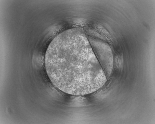 X0000115430621200912020925