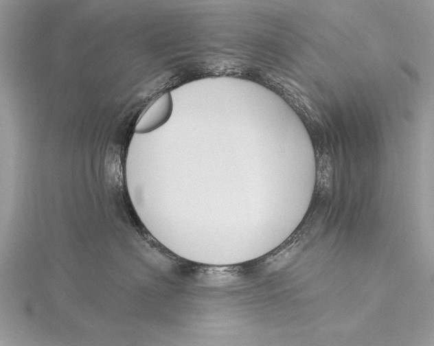 X0000115430622200912020925