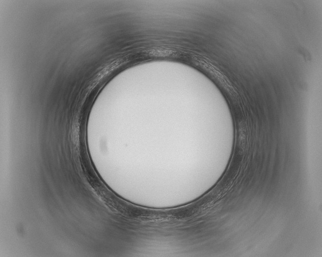 X0000115430626200912020925