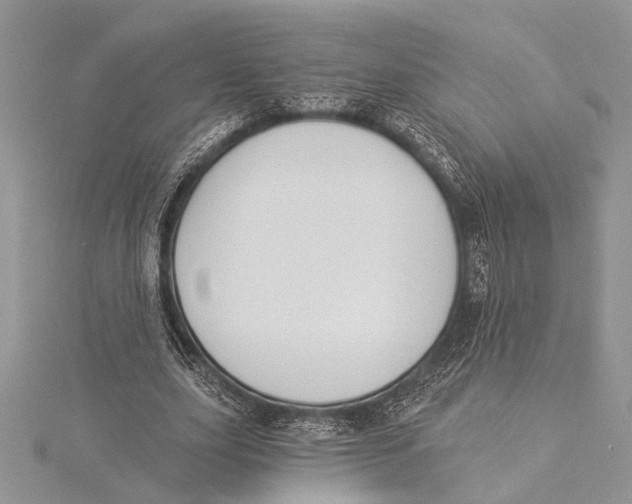 X0000115430631200912020925