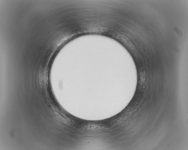 X0000115430632200912020925