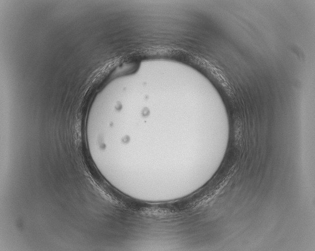 X0000115430633200912020925