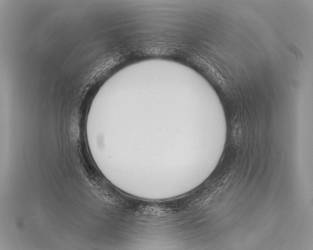 X0000115430635200912020925