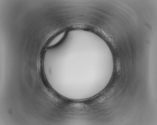 X0000115430637200912020925