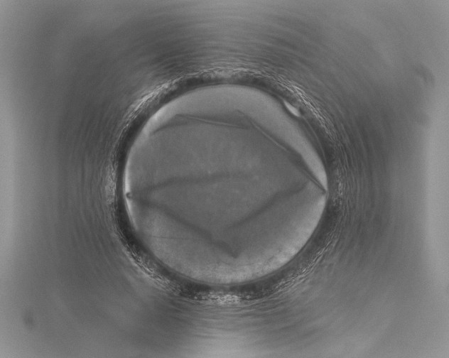 X0000115430640200912020925