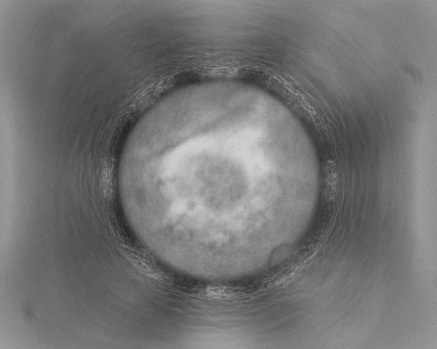 X0000115430641200912020925