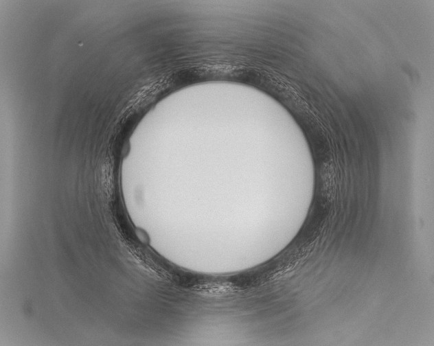 X0000115430642200912020925