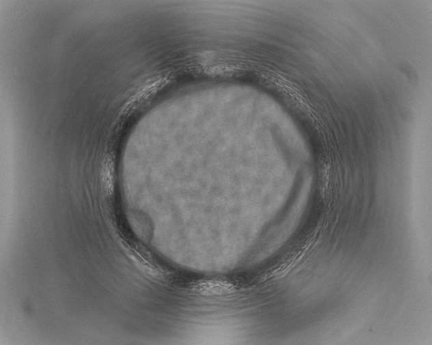 X0000115430644200912020925