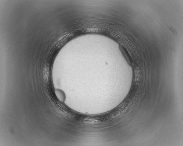 X0000115430648200912020925