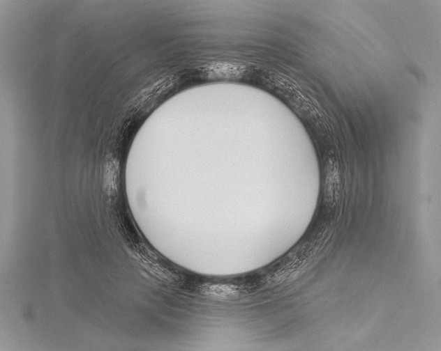 X0000115430649200912020925