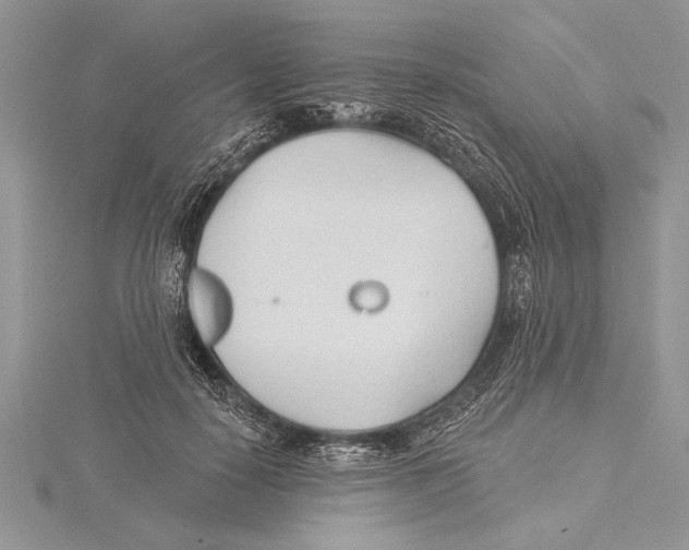 X0000115430650200912020925