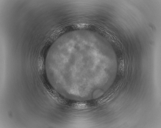 X0000115430651200912020925