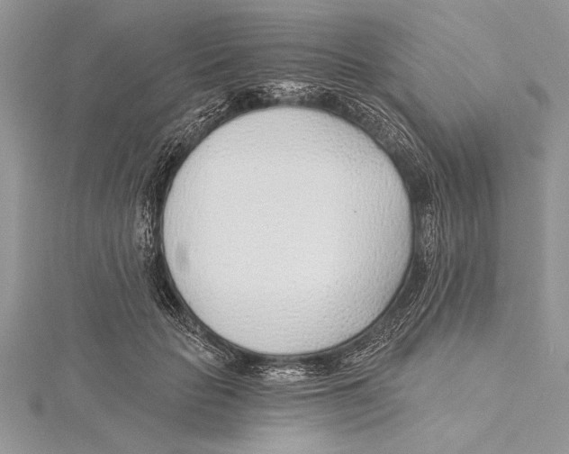 X0000115430653200912020925