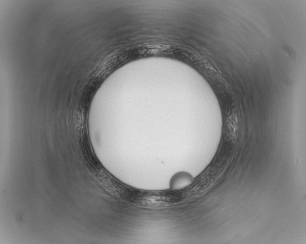 X0000115430657200912020925