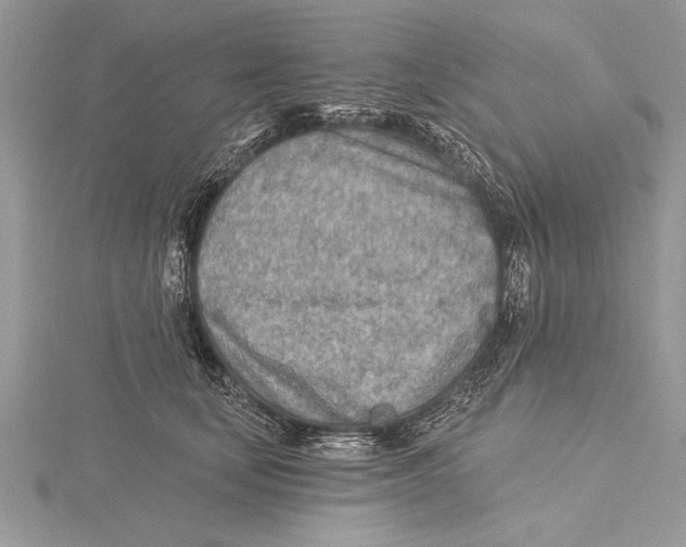 X0000115430659200912020925