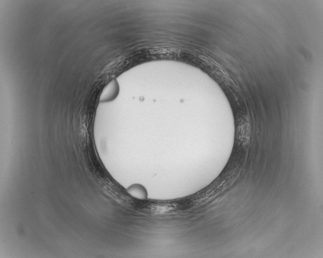 X0000115430662200912020925