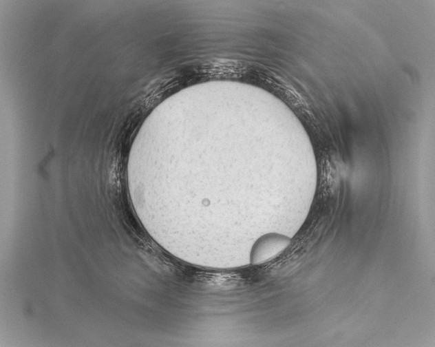 X0000115430663200912020925