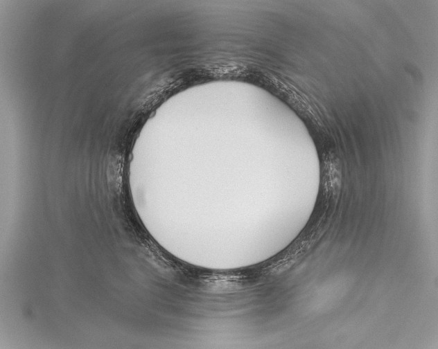 X0000115430664200912020925