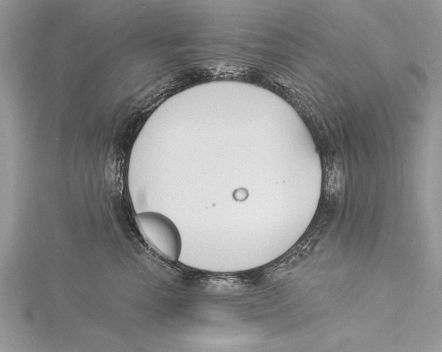 X0000115430666200912020925