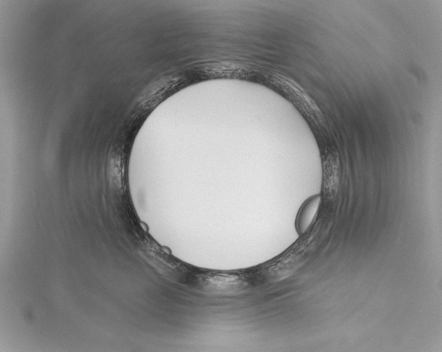 X0000115430669200912020925