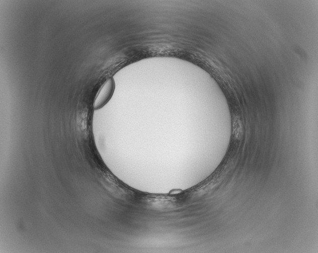 X0000115430670200912020925