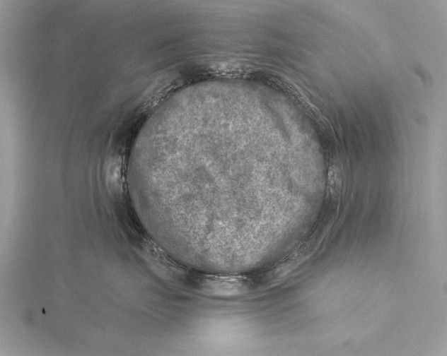 X0000115430671200912020925