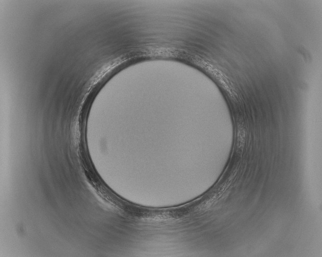 X0000115430674200912020925