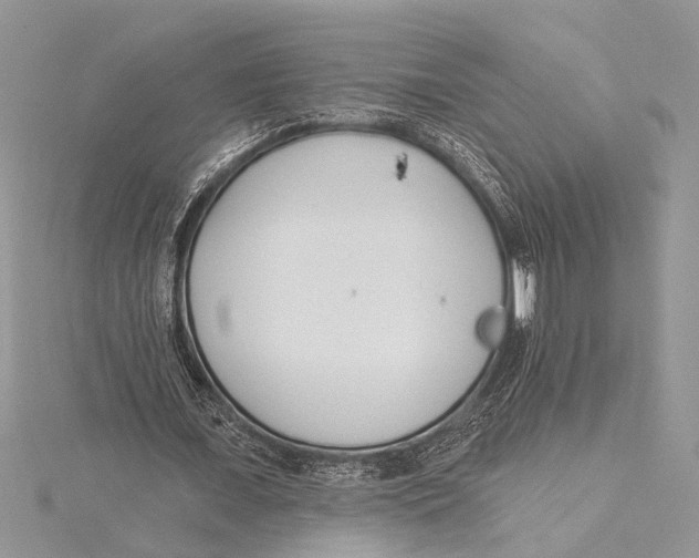 X0000115430675200912020925