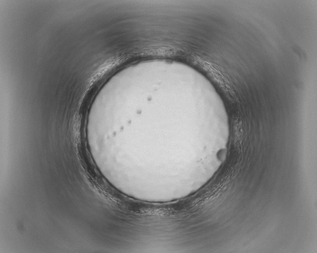 X0000115430679200912020925