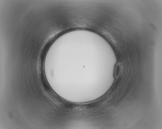 X0000115430680200912020924