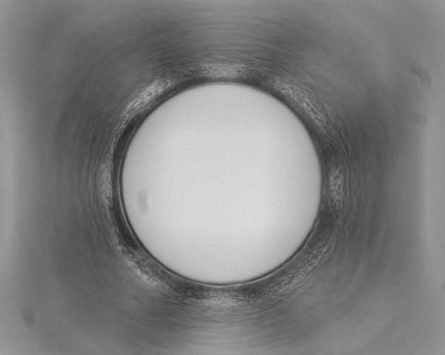 X0000115430682200912020924