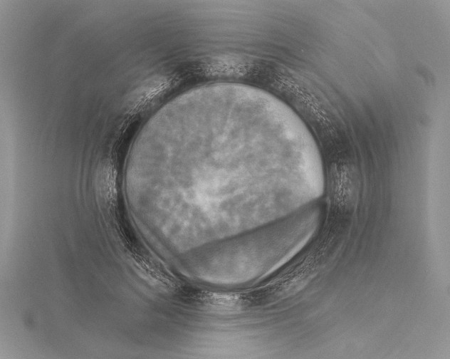 X0000115430692200912020924