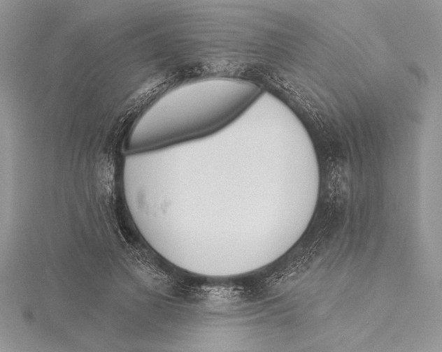 X0000115430693200912020924