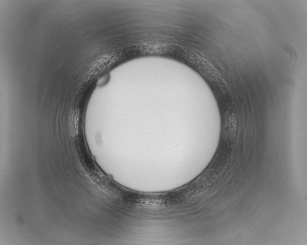 X0000115430694200912020924