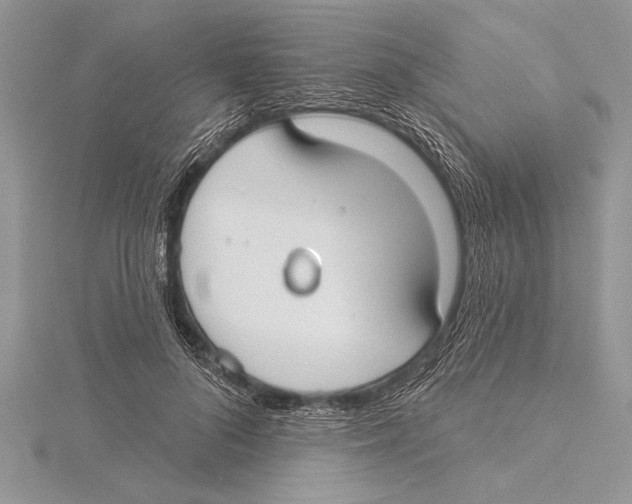 X0000115430696200912020924