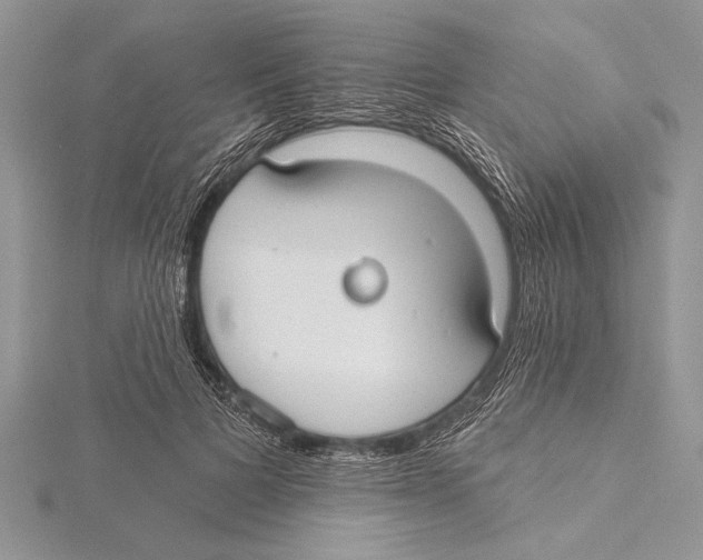 X0000115430697200912020924