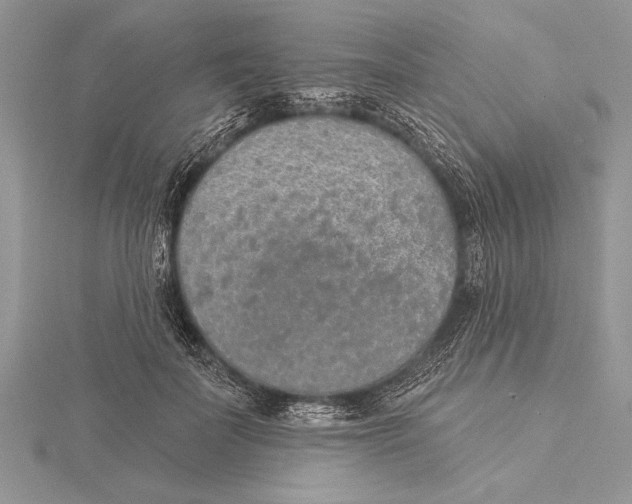 X0000115430699200912020924