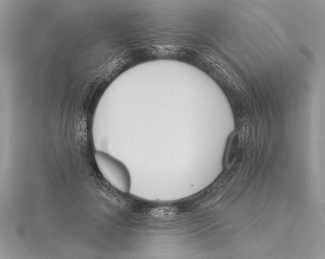 X0000115430700200912020924