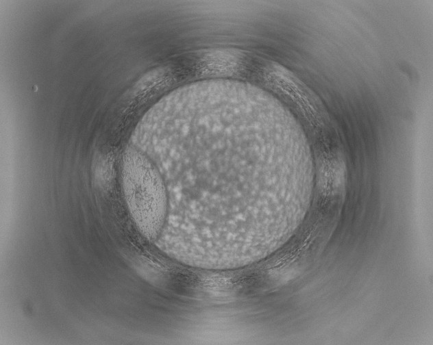 X0000115430701200912020924