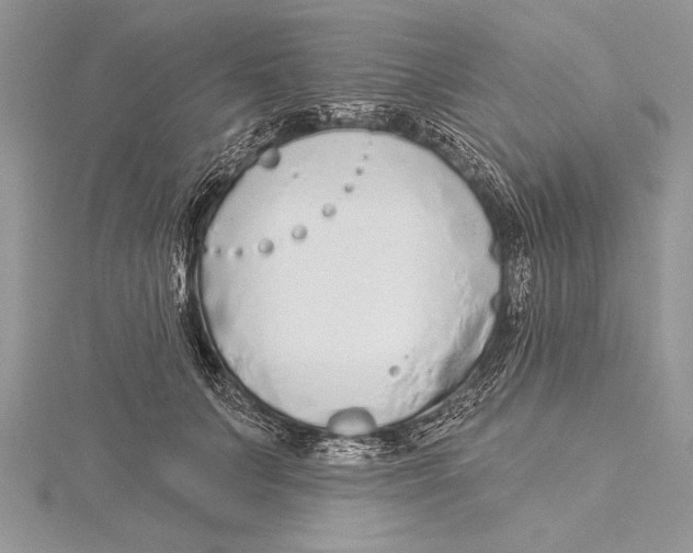 X0000115430703200912020924