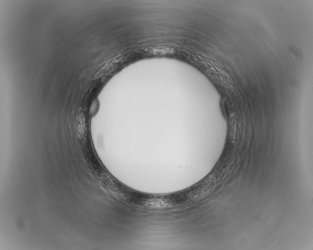 X0000115430704200912020924