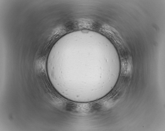 X0000115430705200912020924